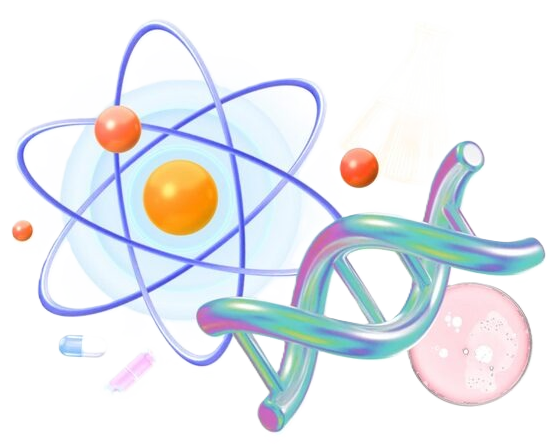 Comprehensive support image